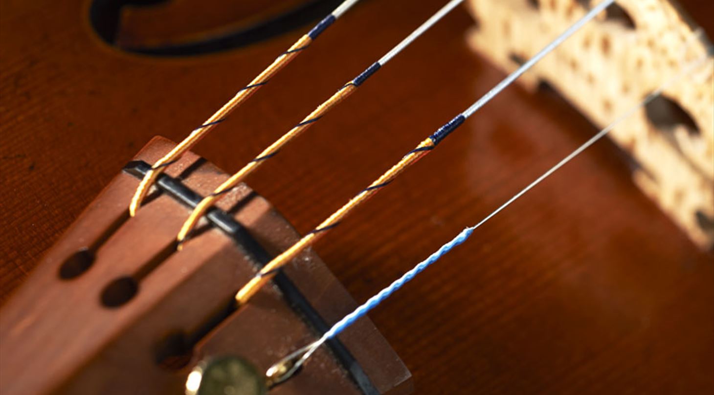 Violin med strenge